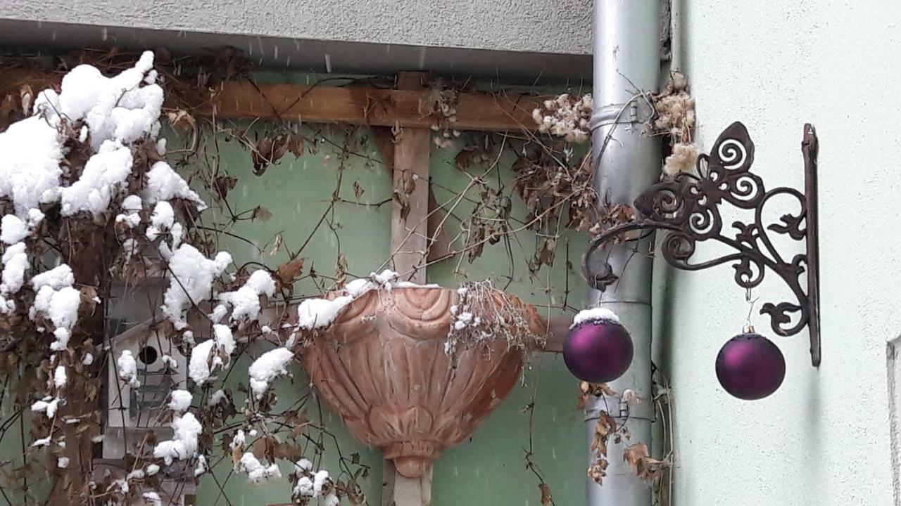 Zum Kleinen Riesen Apartamento Erfurt Exterior foto